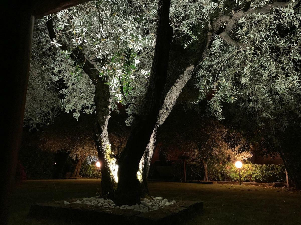 Tenuta Fagnani Lucca Luaran gambar